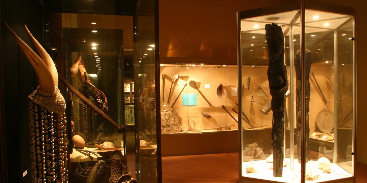 🏛️ 자연사 박물관 (뮈제욈 디스투아르 나튀렐)